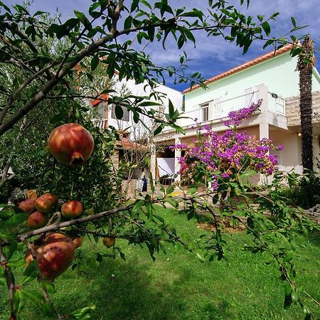Apartment Maslina Бибине Екстериор снимка